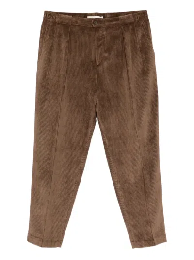 Briglia 1949 Portobello Corduroy Trousers In Brown