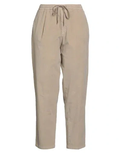 Briglia 1949 Woman Pants Beige Size 8 Cotton, Elastane In Neutral