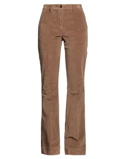 Briglia 1949 Woman Pants Brown Size 4 Cotton, Elastane In Multi