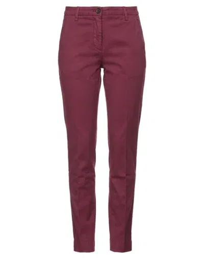 Briglia 1949 Woman Pants Burgundy Size 2 Cotton, Elastane In Brown