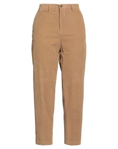 Briglia 1949 Woman Pants Camel Size 8 Cotton, Lyocell, Elastane