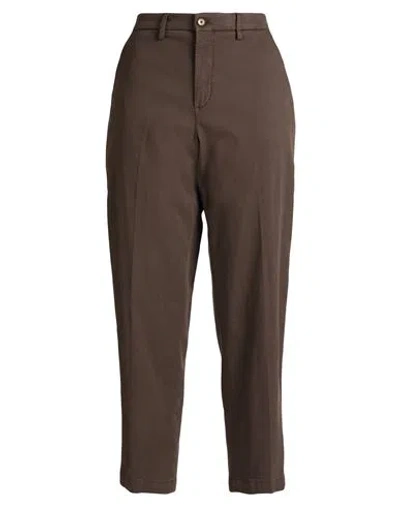 Briglia 1949 Woman Pants Chocolate Brown Size 12 Modal, Cotton, Elastane