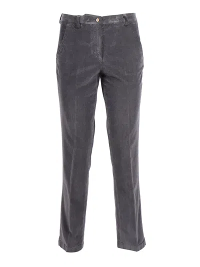 Briglia Pantaloni In Gray