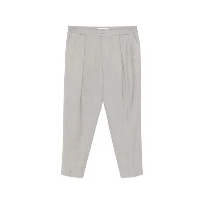 Briglia Pleated Trousers In Gray