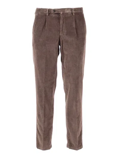 Briglia Straight-leg Brown Corduroy Pants With Tapered Fit