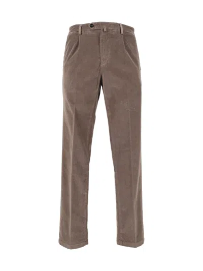 Briglia Trousers In Brown