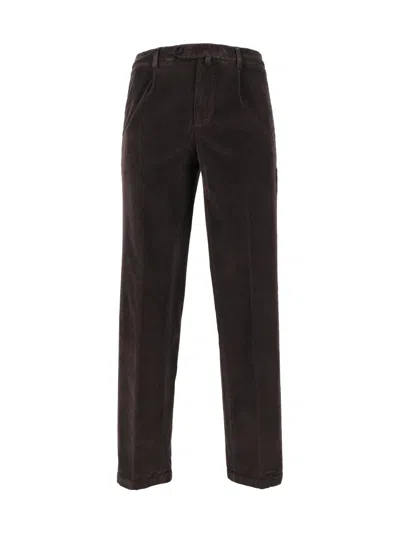 Briglia Trousers In Brown