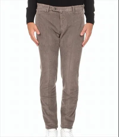 Briglia Velvet Chino Trousers In Blue