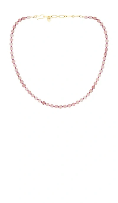 Brinker & Eliza Doe Necklace In Purple