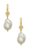 Brinker & Eliza Favorite Pearl Hoops