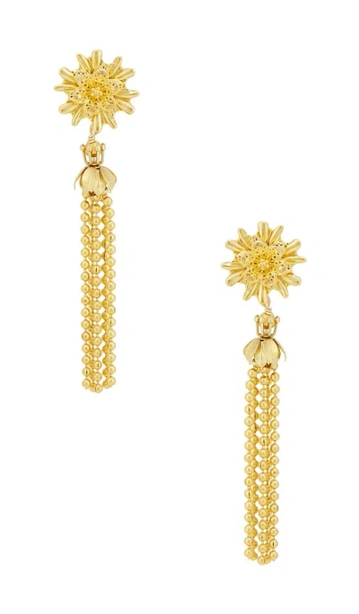 Brinker & Eliza Shimmy Earrings In Gold