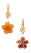 Brinker & Eliza Bloom Hoops