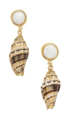 Brinker & Eliza Darya 24k Gold-plated Earrings In Brown