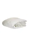 Brinkhaus Arctic Duck Down Duvet In Ivory