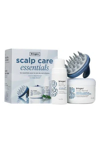 Briogeo Scalp Care Essentials Set In Transparent
