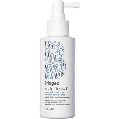 Briogeo Scalp Revival™ Charcoal + Tea Tree Buildup Detox Spray In No Color