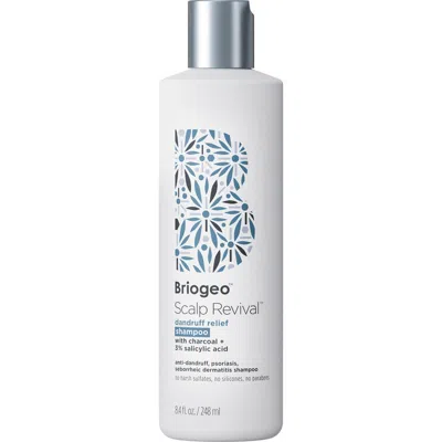 Briogeo Scalp Revival Dandruff Relief Shampoo With Salicylic Acid 8.4 Fl Oz/248 ml In Transparent