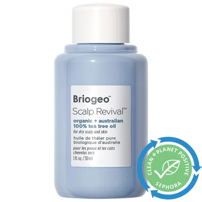 Briogeo Scalp Revival Organic + Australian 100% Tea Tree Oil 1 oz / 30 ml In White