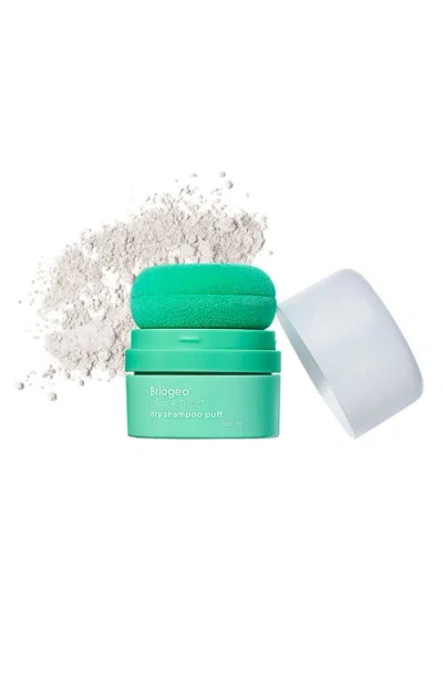Briogeo Style + Treat Dry Shampoo Puff
