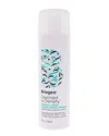 Briogeo Unisex 8oz Destined For Density Caffeine Plus Biotin Peptide Density Shampoo