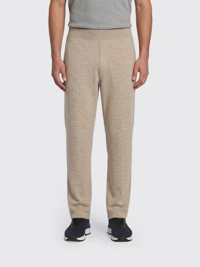 Brioni Cashmere Blend Trousers In Neutral