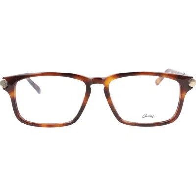 Brioni Novelty 55mm Rectangle Optical Glasses In Havana Havana Transparent