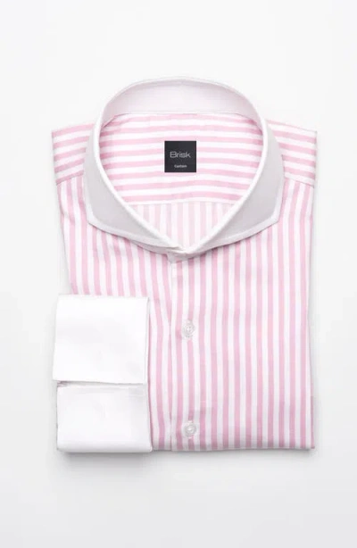 Brisk Bengal Twill Stripes Pima Cotton Shirt In White Cutaway Extreme Collar