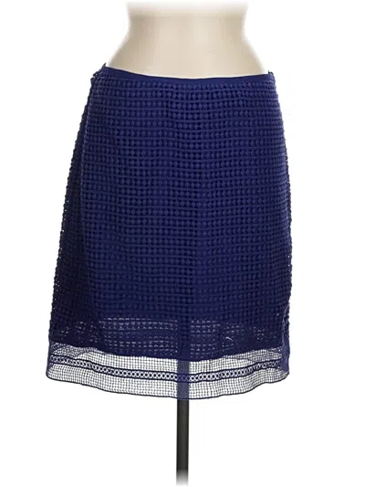 Pre-owned Brixon Ivy Casual Skirt In Blue