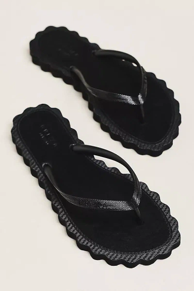 Brizza Arezzo Scalloped Thong Sandals In Black