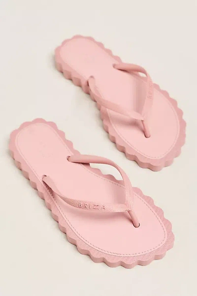 Brizza Arezzo Scalloped Thong Sandals In Pink