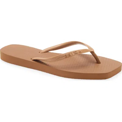 Brizza Flip Flop In Brown
