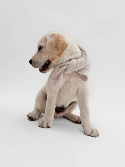 Brochu Walker The Cashmere Dog Bandana In Mist Mélange