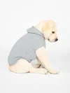 Brochu Walker The Cashmere Dog Hoodie In Brume Grey