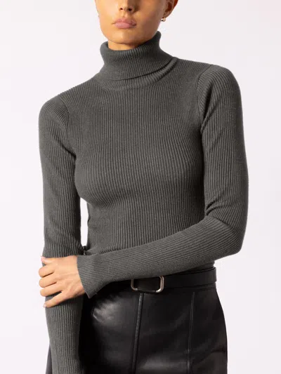 Brochu Walker The Noel Ribbed Turtleneck