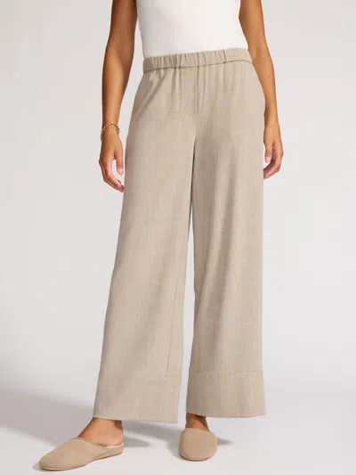 Brochu Walker The Quinn Pant In Gray