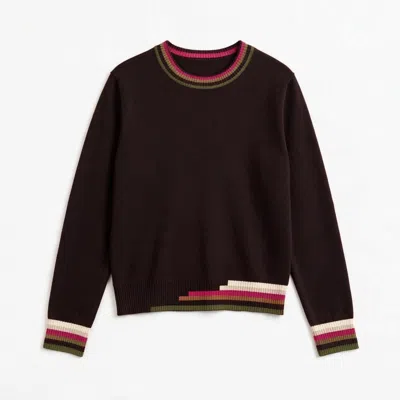 Brodie Women's Multi Coloured Trim Crew - Brown
