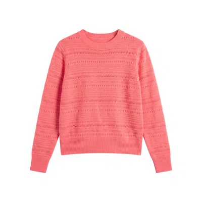 Brodie Women's Pink Textured Taylor Cashmere Crew