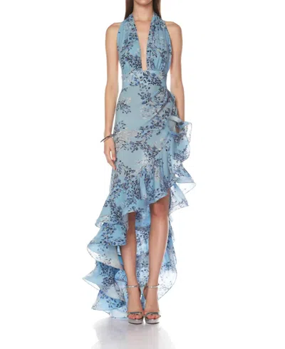 Bronx And Banco Bronte Blue Poppy Maxi Dress In Blue Multi