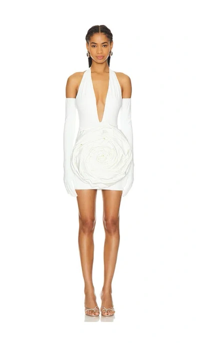 Bronx And Banco Camellia Blanc Rose Mini Dress In 奶油色