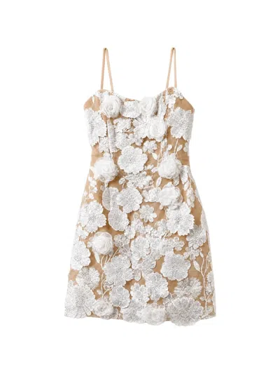 Bronx And Banco Floral-appliqué Lace-embroidered Mini Dress In Multi
