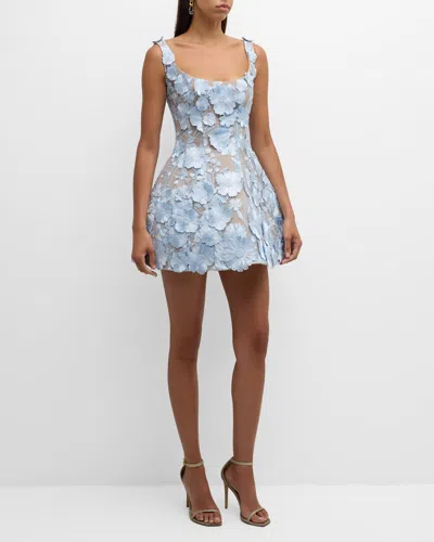 Bronx And Banco Jasmine Floral Applique Fit-&-flare Mini Dress In Powder Blue
