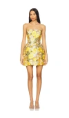 Bronx And Banco Jasmine Maraya Mini Dress In Yellow