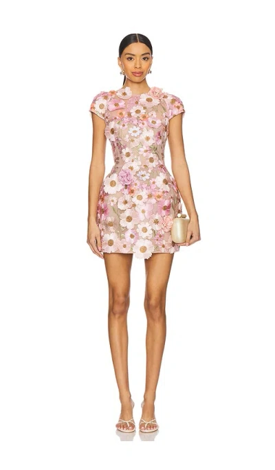 Bronx And Banco Jasmine Mini Dress In Pink