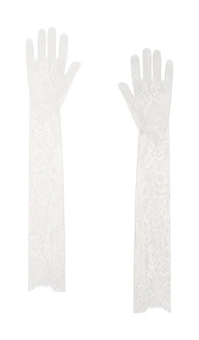 Bronx And Banco Lace Gloves In White