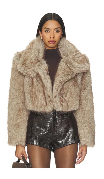 Bronx Banco Cropped Faux Fur Jacket In Multi