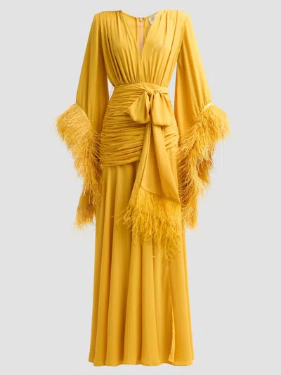 Bronx Banco Women's Geisha Ruched Feather-trimmed Maxi Dress In Yellow