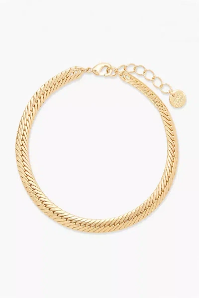 Brook & York Compressed Curb Chain Bracelet In Gold