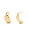 Brook & York Gold Plated Farrah Ribbed Stud Earrings