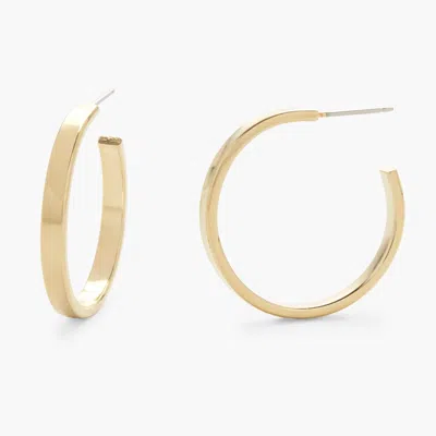 Brook & York Lexi Hoops In Gold