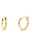 Brook & York Nellie Hoop Earrings In Gold - 13mm